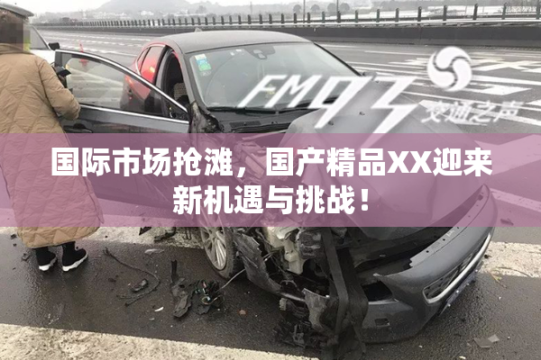 国际市场抢滩，国产精品XX迎来新机遇与挑战！