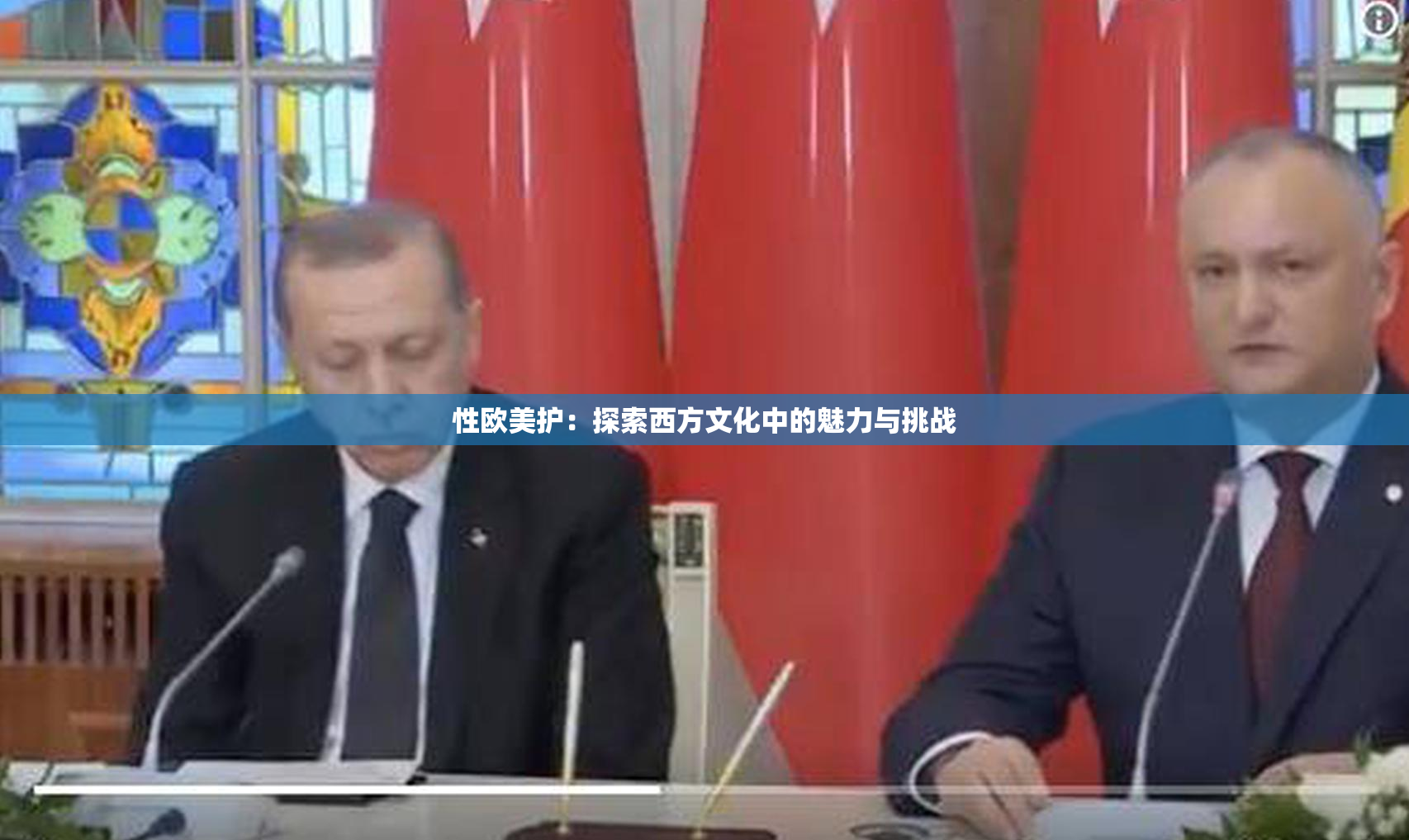 性欧美护：探索西方文化中的魅力与挑战