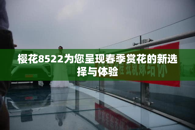 樱花8522为您呈现春季赏花的新选择与体验