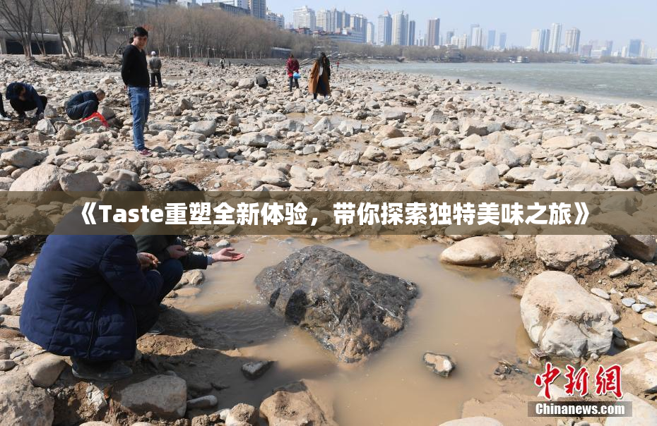 《Taste重塑全新体验，带你探索独特美味之旅》