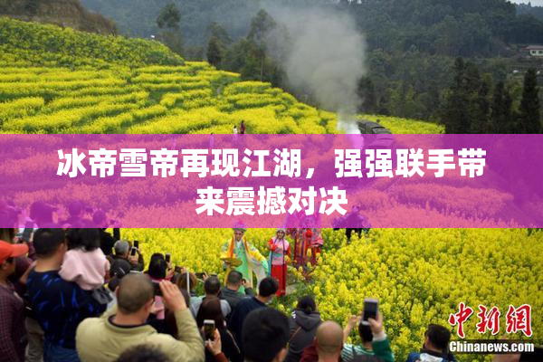 冰帝雪帝再现江湖，强强联手带来震撼对决