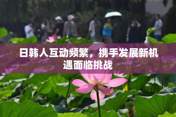 日韩人互动频繁，携手发展新机遇面临挑战