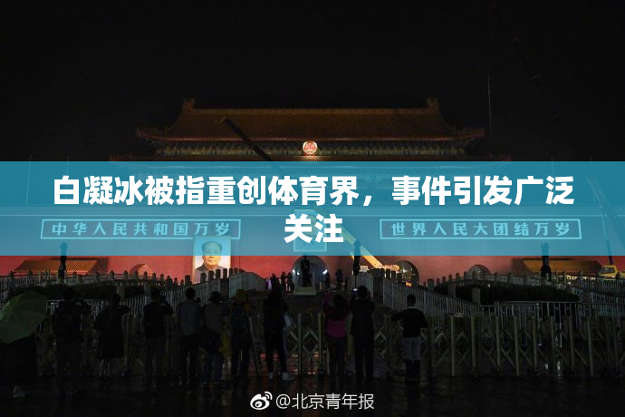 白凝冰被指重创体育界，事件引发广泛关注