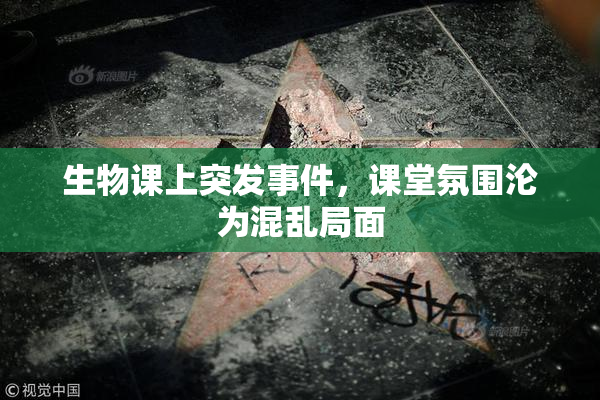 生物课上突发事件，课堂氛围沦为混乱局面