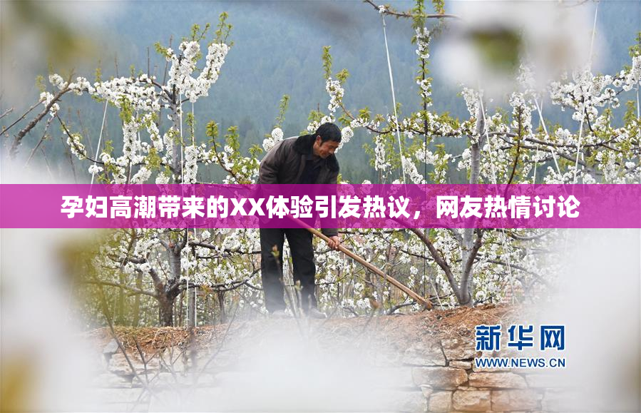 孕妇高潮带来的XX体验引发热议，网友热情讨论