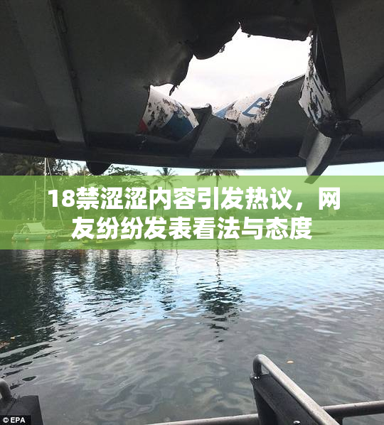18禁涩涩内容引发热议，网友纷纷发表看法与态度
