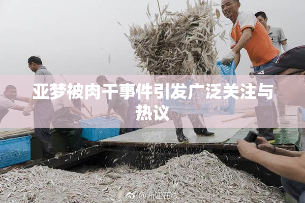 亚梦被肉干事件引发广泛关注与热议