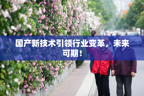 国产新技术引领行业变革，未来可期！