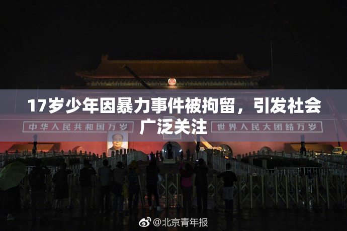 17岁少年因暴力事件被拘留，引发社会广泛关注