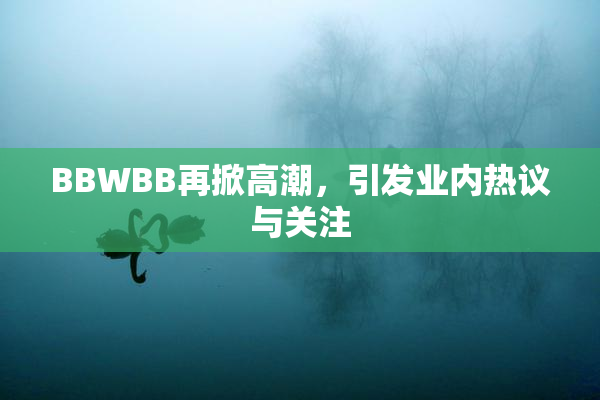 BBWBB再掀高潮，引发业内热议与关注