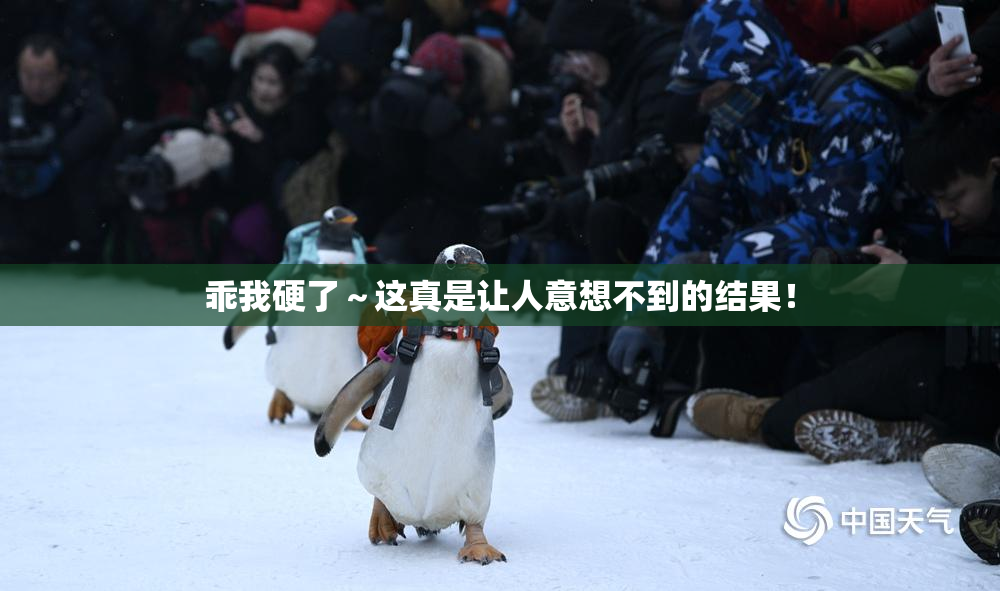 乖我硬了～这真是让人意想不到的结果！
