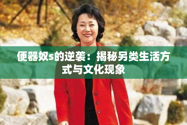 便器奴s的逆袭：揭秘另类生活方式与文化现象