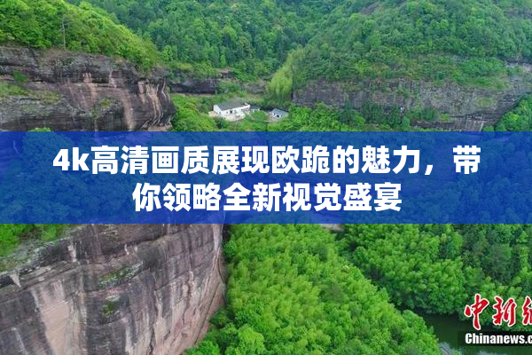4k高清画质展现欧跪的魅力，带你领略全新视觉盛宴