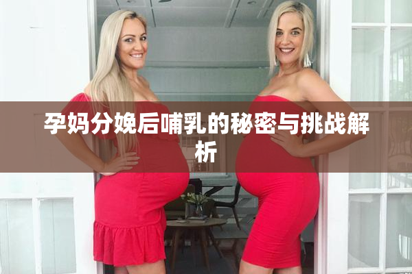 孕妈分娩后哺乳的秘密与挑战解析