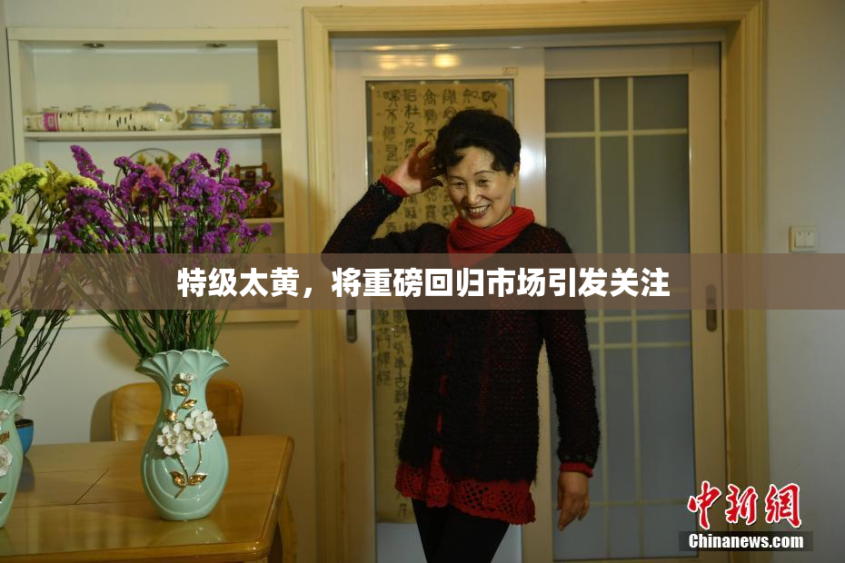 特级太黄，将重磅回归市场引发关注