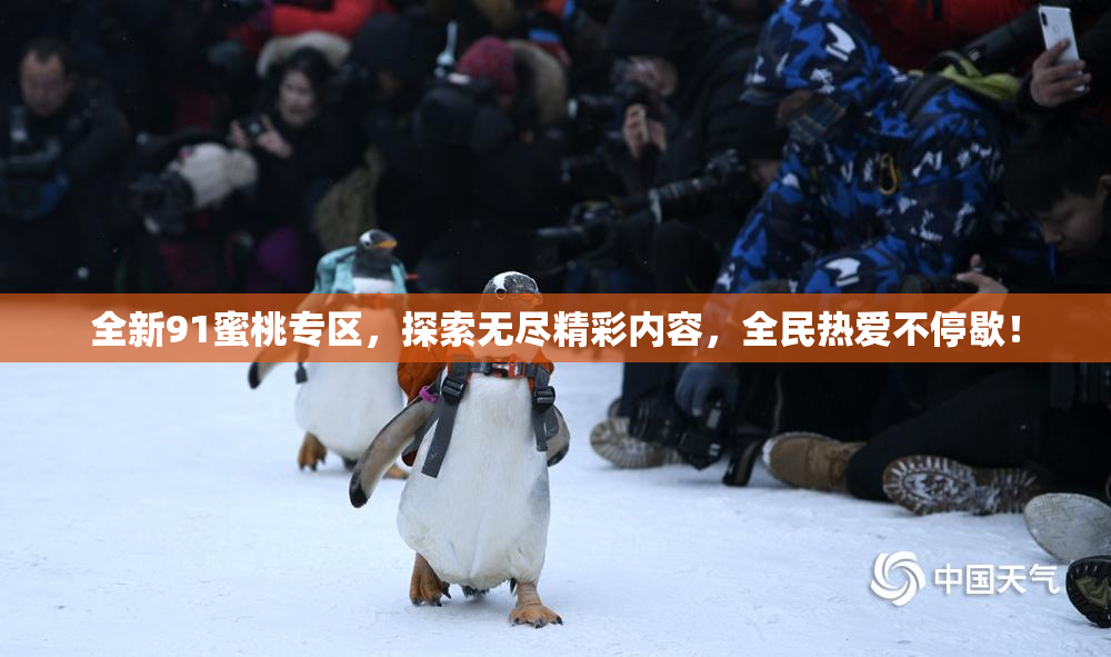全新91蜜桃专区，探索无尽精彩内容，全民热爱不停歇！