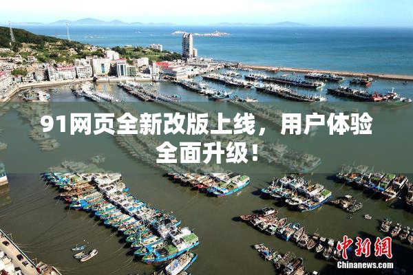 91网页全新改版上线，用户体验全面升级！