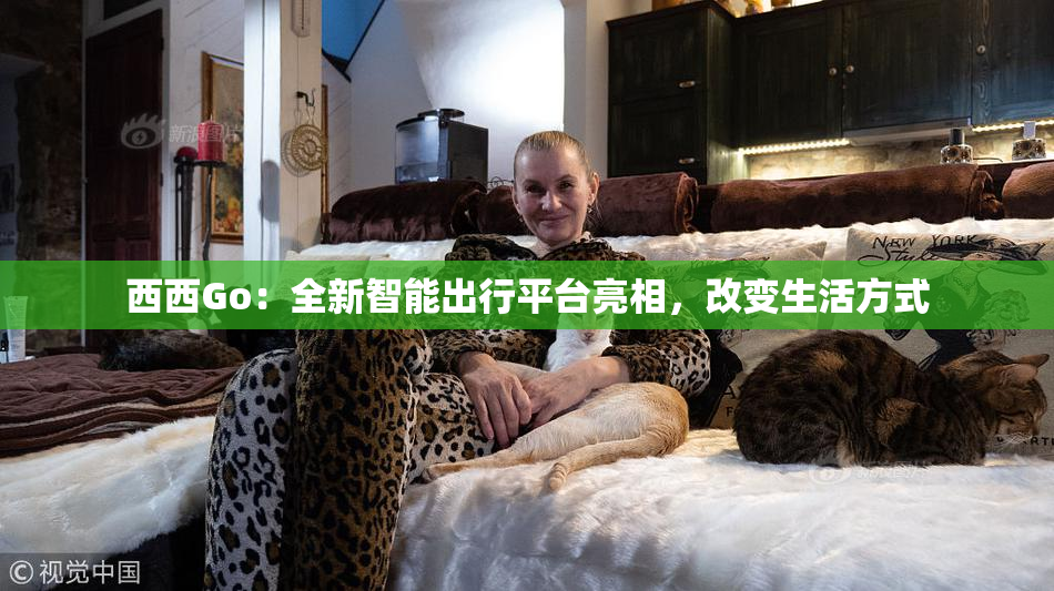 西西Go：全新智能出行平台亮相，改变生活方式