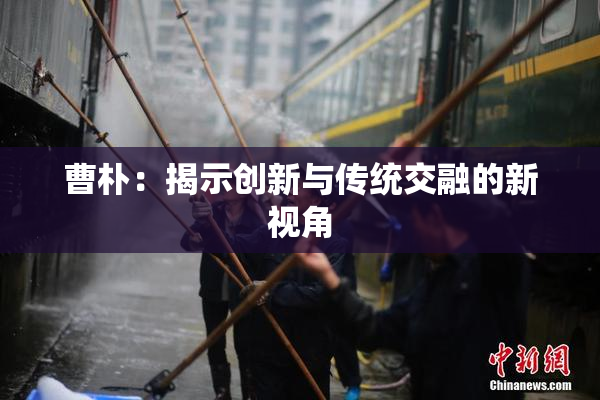 曹朴：揭示创新与传统交融的新视角