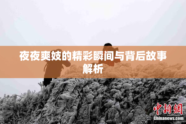 夜夜爽妓的精彩瞬间与背后故事解析