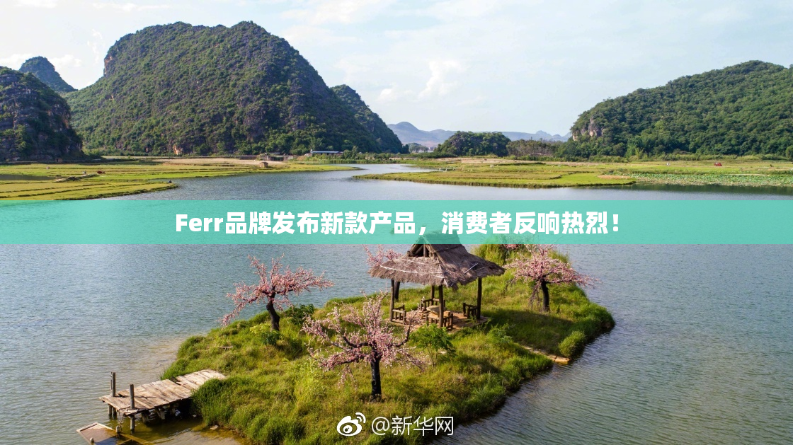 Ferr品牌发布新款产品，消费者反响热烈！