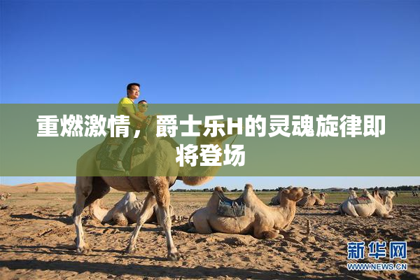 重燃激情，爵士乐H的灵魂旋律即将登场