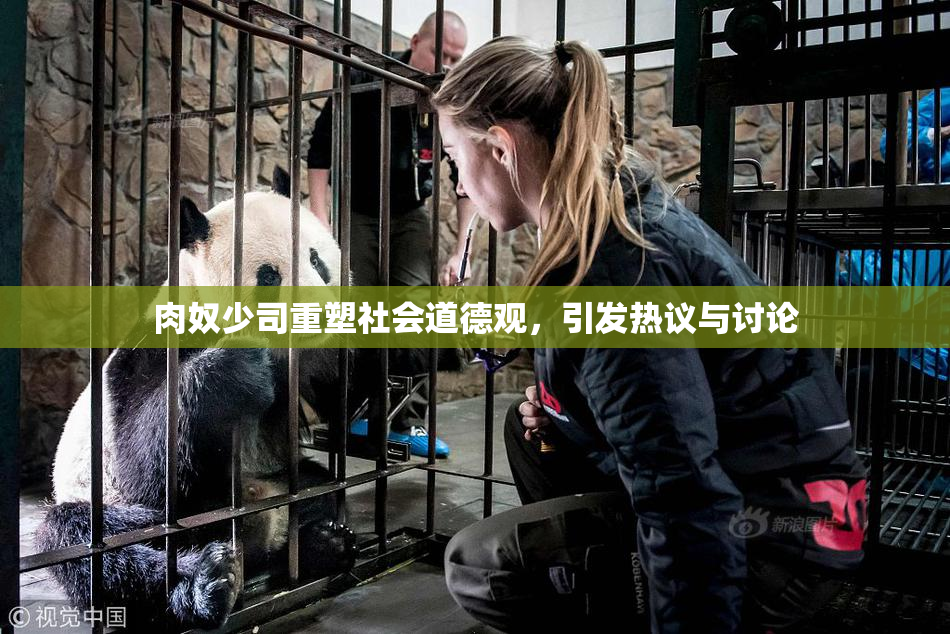 肉奴少司重塑社会道德观，引发热议与讨论