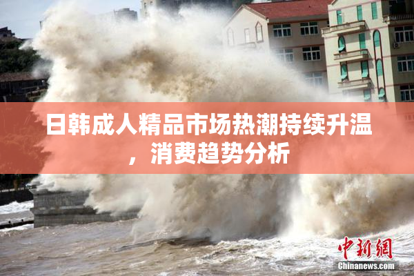 日韩成人精品市场热潮持续升温，消费趋势分析