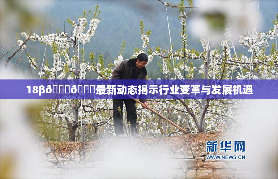 18β🍆🍑最新动态揭示行业变革与发展机遇