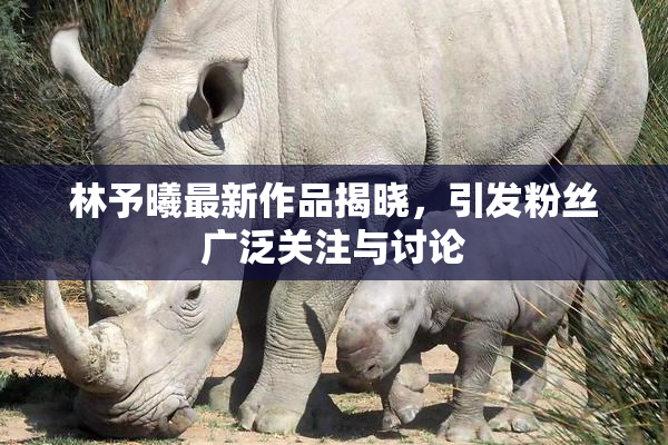 林予曦最新作品揭晓，引发粉丝广泛关注与讨论