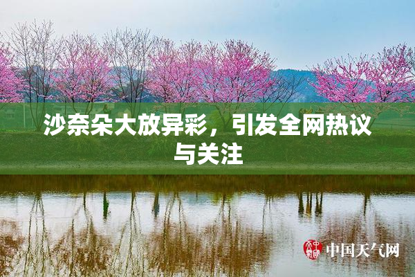 沙奈朵大放异彩，引发全网热议与关注