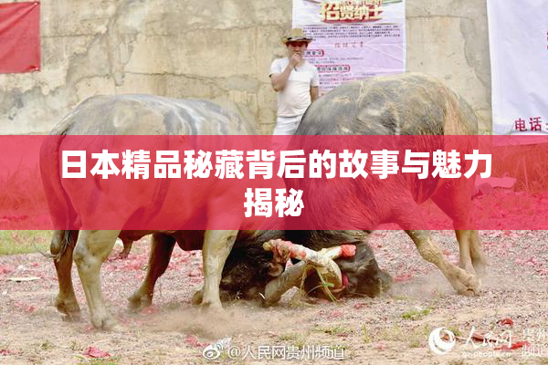 日本精品秘藏背后的故事与魅力揭秘