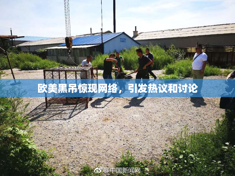 欧美黑吊惊现网络，引发热议和讨论