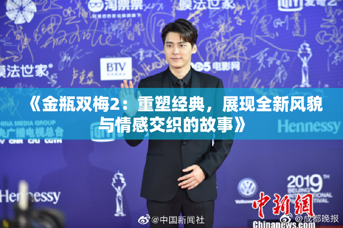 《金瓶双梅2：重塑经典，展现全新风貌与情感交织的故事》