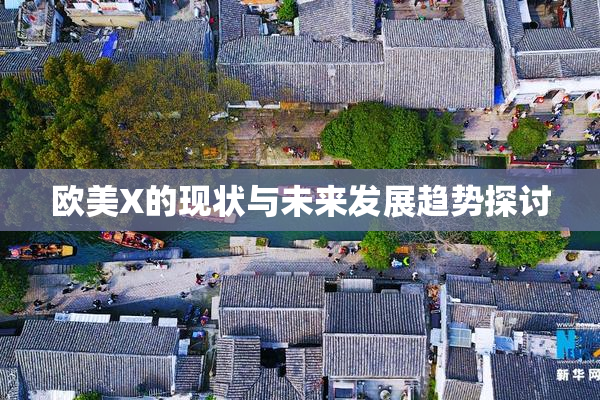 欧美X的现状与未来发展趋势探讨