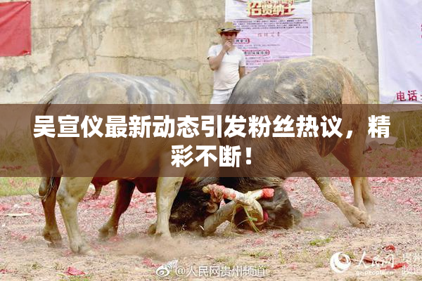 吴宣仪最新动态引发粉丝热议，精彩不断！