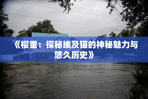 《樱重：探秘埃及猫的神秘魅力与悠久历史》