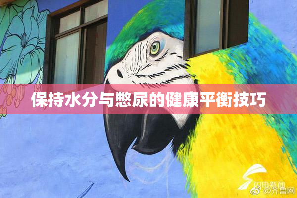保持水分与憋尿的健康平衡技巧