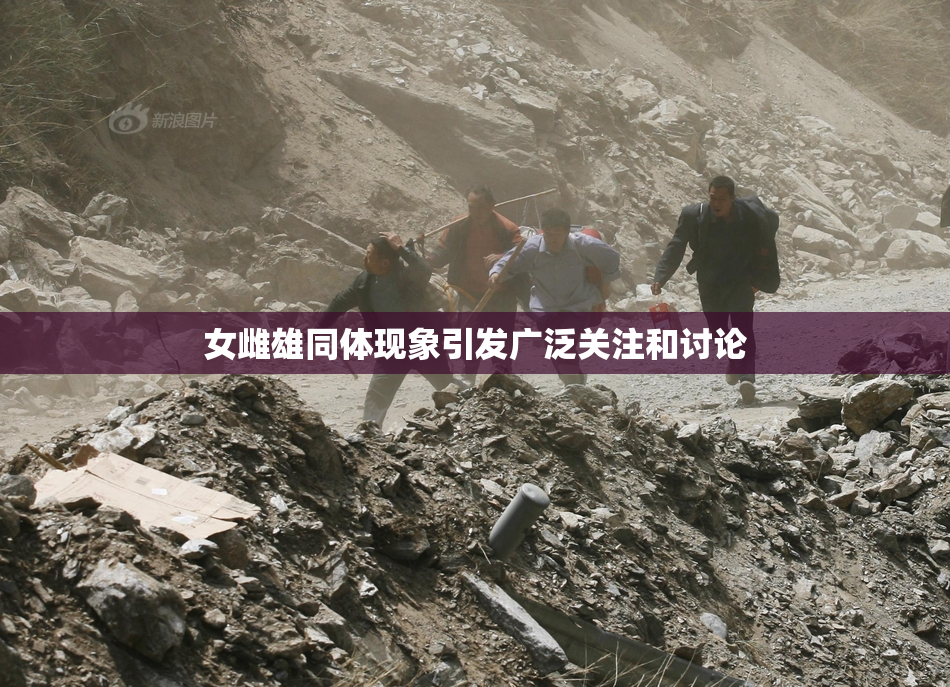 女雌雄同体现象引发广泛关注和讨论