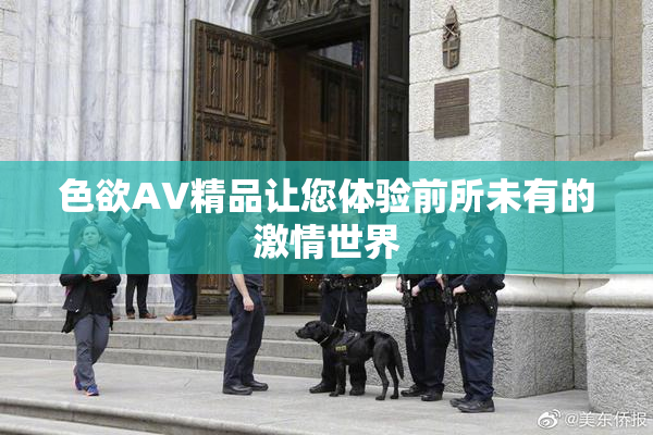 色欲AV精品让您体验前所未有的激情世界
