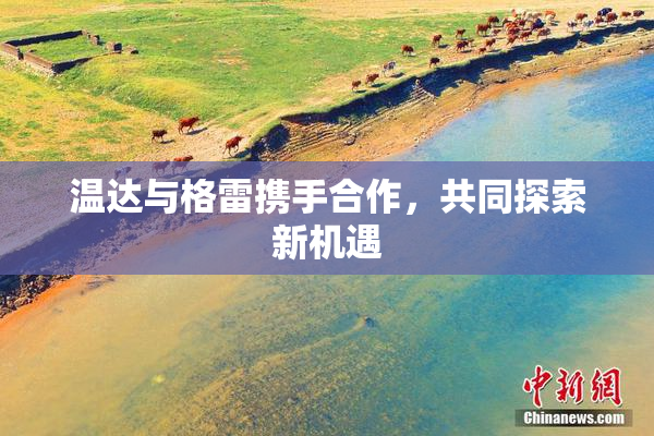 温达与格雷携手合作，共同探索新机遇