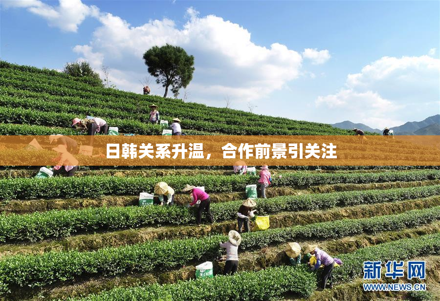 日韩关系升温，合作前景引关注