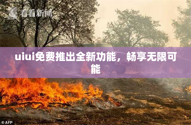 uiui免费推出全新功能，畅享无限可能