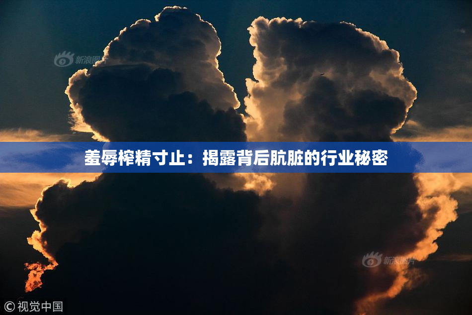 羞辱榨精寸止：揭露背后肮脏的行业秘密
