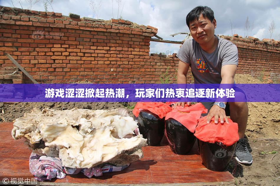 游戏涩涩掀起热潮，玩家们热衷追逐新体验