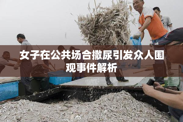 女子在公共场合撒尿引发众人围观事件解析