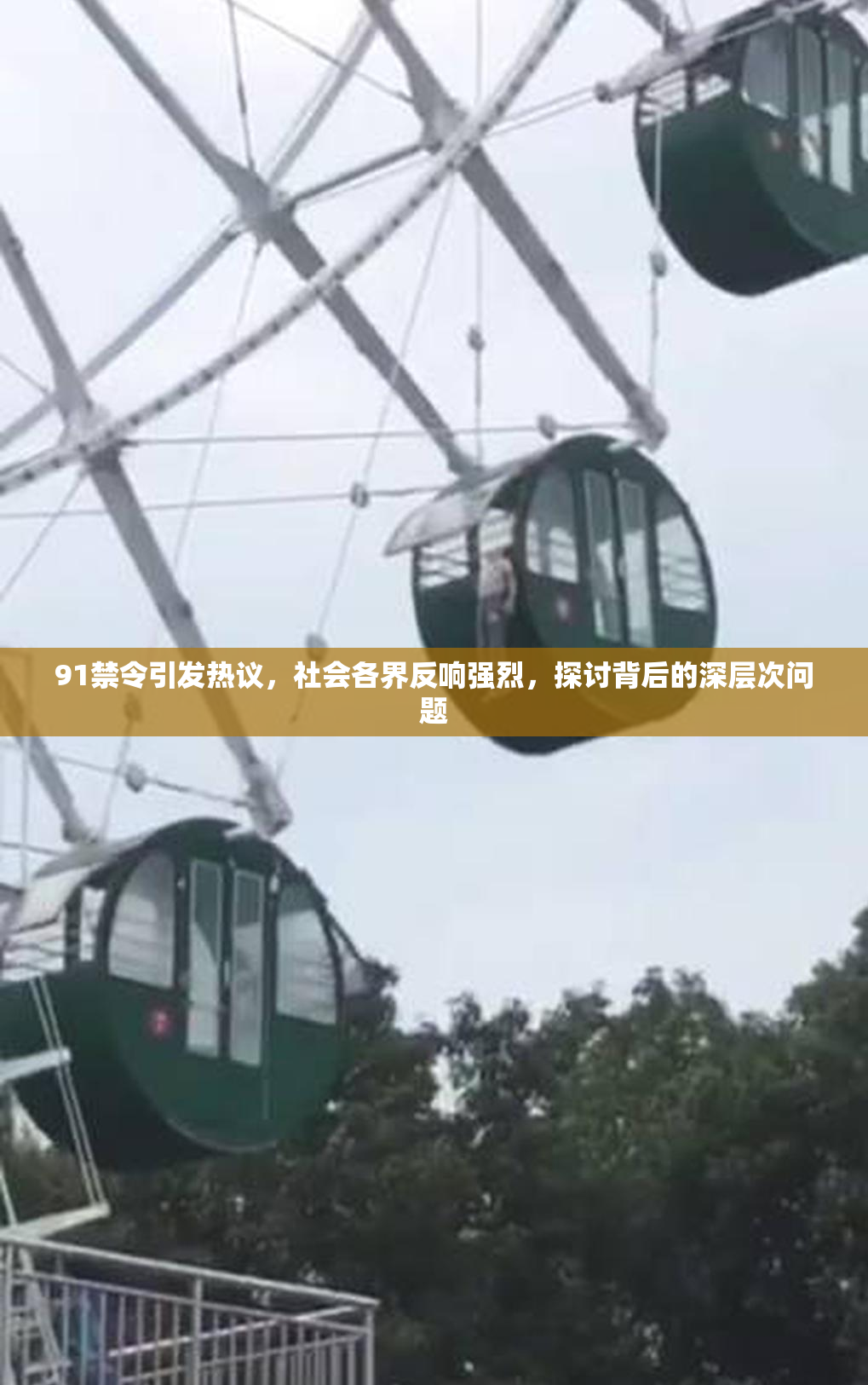 91禁令引发热议，社会各界反响强烈，探讨背后的深层次问题