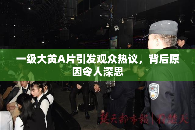 一级大黄A片引发观众热议，背后原因令人深思