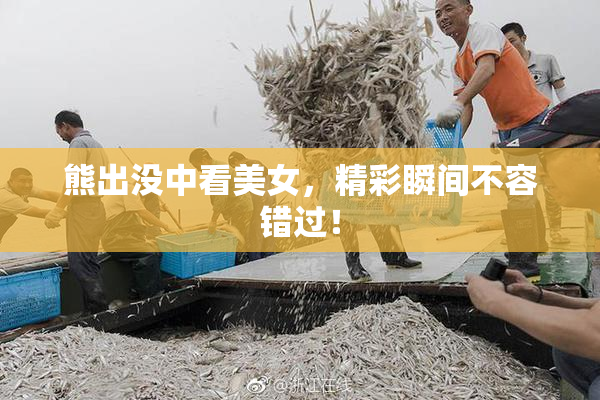 熊出没中看美女，精彩瞬间不容错过！