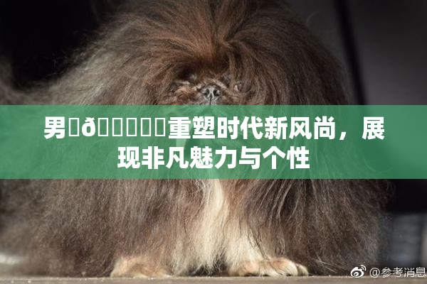 男‌🍌❌‌重塑时代新风尚，展现非凡魅力与个性